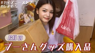 【プーさんグッズ購入品】6月に発売されたプーさんの新グッズ紹介❣️ [upl. by Eillam]