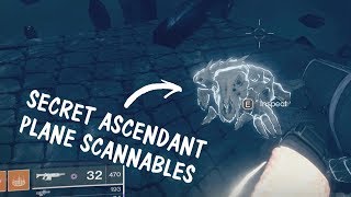 Glitch in to Ascended Challenge Realms amp Catch up on Secret Scannables  Destiny 2 Forsaken Glitches [upl. by Aimas251]