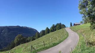 Alpabfahrt Alpe Le Creux Les Diablerets 2018 [upl. by Anisirhc]