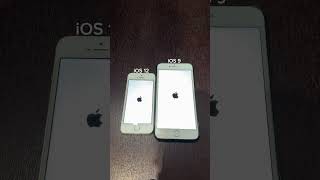 iPhone 5s on iOS 12 vs iPhone 6 Plus on iOS 9 boot up test shorts iphone5s iphone6plus ios [upl. by Leveroni]