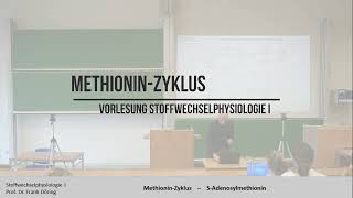 Methionin Zyklus  SAM Bedeutung [upl. by Sitruc]