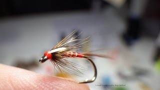 Tying a Red Quilled Cruncher by Davie McPhail [upl. by Ehttam]