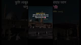 রাসুলুল্লাহ সাঃ বলেছেন quotরাতের আহার ত্যাগ করো নাislamicvideo feedshorts islamicstatus shorts [upl. by Lawlor]