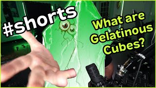 What is a Gelatinous Cube in DampD [upl. by Barbaraanne]