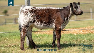 Lot 35  BJF HEIFER 98 [upl. by Ahsekal252]