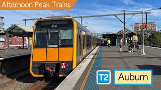 Transport for Sydney Vlog 753 Auburn Trainspotting  Afternoon Peak Trains Part 2 [upl. by Murton]