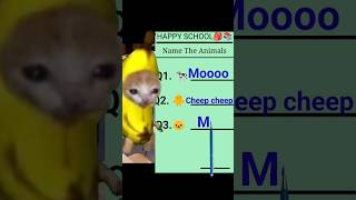 Banana cat school exam season 2 day 7 bananacat funny catfunny [upl. by Norward]