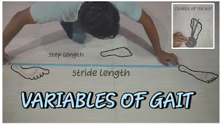 Variables of gait cycle  How to measure variables of gait cycle physio by heart [upl. by Lari]