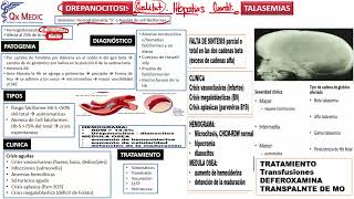 3 RM19 2V HEMATOLOGÍA ESFEROCITOSIS DEFICIT DE PK Y G6PDH DREPANOCITOSIS TALASEMIAS [upl. by Asela]