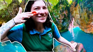 We visited La Leona Waterfall  The Best Hike in La Leona Waterfall Adventure Hike Costa Rica [upl. by Tristram]