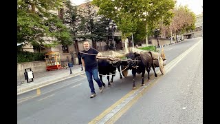 Umudun Yolu Belgeseli quotKağnı Kamyonu Yendiquot  5 ve Son Bölüm [upl. by Ueihttam]