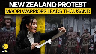 Maori Protest LIVE  Maori Haka Chants As Thousands Protest New Zealands Indigenous Bill  WION [upl. by Zindman]