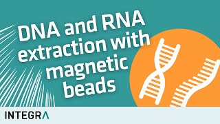 DNA and RNA extraction with magnetic beads – How it works [upl. by Akemyt283]