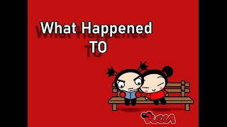 What Happened To Pucca Will It Come Back [upl. by Ika]