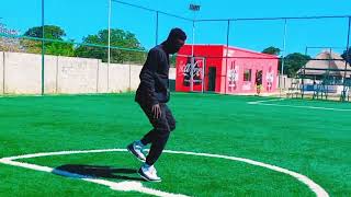 chef 187 ft James sakala 360 official dance video [upl. by Anaeerb910]