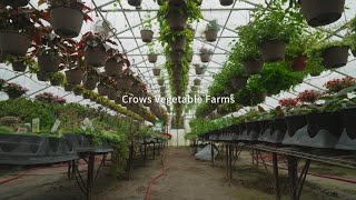 Case Studies in Conservation Crows Vegetable Farm [upl. by Rolyab521]