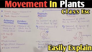 Movement In Plants  Autonomic Movement  Tactic Turgor Pressure amp Growth Movement  Class 12 [upl. by Hamlani]