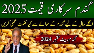 Wheat Sapport Price 2025  Punjab Wheat Price EP28  Gandam Ki Amdaadi Qeemat Next Year  EP28 [upl. by Hsejar]