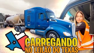 CARREGAMOS NO LEILAO NO TEXAS [upl. by Marin]