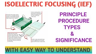 Isoelectric Focusing Principle procedure types and significance [upl. by Einalam]