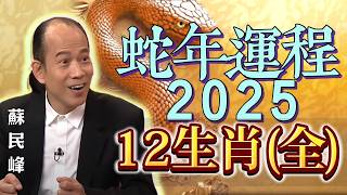 蘇民峰講解 2025 蛇年生肖運程 [upl. by Mcdonald]