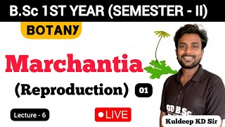 Live06  Reproduction in Marchantia Part01  2nd Semester Botany  By KD Sir [upl. by Danyette78]