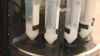 PRO Scientific MultiPrep Homogenzier homogenizes whatman filter paper [upl. by Furtek]