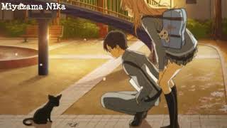 Sad Anime Song  Kirameki キラメキ FULL  OST Ending Shigatsu Wa Kimi No Uso 四月は君の嘘 [upl. by Idalla]