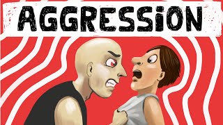 Theories of Aggression in Social Psychology [upl. by Aimekahs]