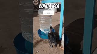 ☝️☝️☝️ Elaboración aquí ☝️☝️☝️ Comedero y Bebedero automático para criar aves 🐓🐔🦃🦆🐥 [upl. by Wilkie]