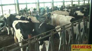 Farmers Weekly visits a 32000 cow dairy [upl. by Eussoj]