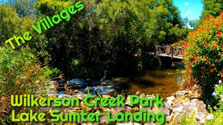 Wilkerson Creek Park in The Villages FL GEM [upl. by Romy684]