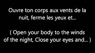 Garou amp Céline Dion  Sous le vent LYRICS  TRANSLATION [upl. by Corel]