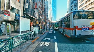 Tokyo Cycling Tour Shibuya To Futakotamagawa  Bike Ride POV  4K 60fps [upl. by Carrington]