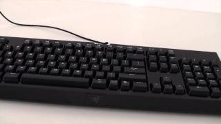 Razer Blackwidow quotExpertquot Mechanical Gaming Keyboard Review [upl. by Platon]