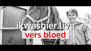 Boomslepen met Belgisch Trekpaard Carlos en Wannes  ikwashierlive Vers Bloed Collectie [upl. by Carl]