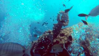 Submarinismo en Calabardina Gopro [upl. by Nalced506]