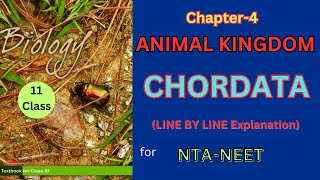 Class 11 Animal Kingdom chordates theory ncertbiologyharunsir Harunbiozone [upl. by Acenes801]