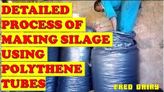 DETAILED PROCESS OF MAKING TUBE SILAGEAll you need to know about silage [upl. by Alain]