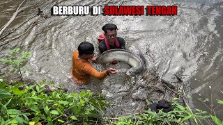 8 HARI CARI SIDAT IKAN UDANG BUAH amp BIKIN MAKANAN MEWAH DI ALAM SULAWESI😅 bocahpecicilan [upl. by Eimmelc]