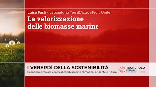 La valorizzazione delle biomasse marine [upl. by Ibmat263]