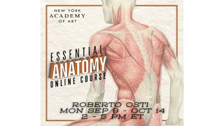 Essential Anatomy Online Course  Roberto Osti  Fall I  Mondays Sep 9  Oct 14 [upl. by Angele]