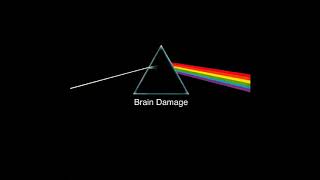 Pink Floyd  DSOTM  9 Brain Damage Lyrics in CC [upl. by Holihs]