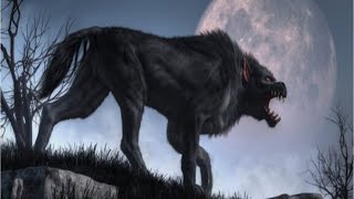 3 Encounters with Hellhounds [upl. by Eillas]