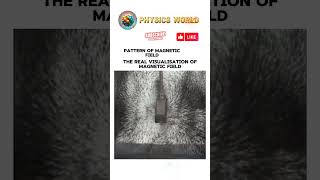 The real pattern of magnetic fieldviralsciencefactsscienceexperimentmrindianhackerviralytshorts [upl. by Adnaram]