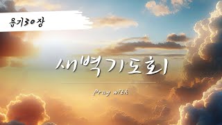 LIVE ㅣ 2024년 11월 1일 참소망교회 새벽기도회  Pray with [upl. by Doe]