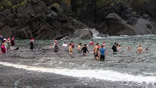 Cadgwith Cove Cornwall Christmas swim 2023 [upl. by Ilenna]