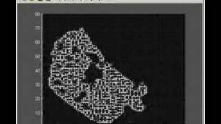 Cool Cellular Automata Step 1 Matlab simulation [upl. by Gaul]