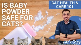 Is Baby Powder Safe For Cats Vet explains [upl. by Egrog]