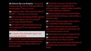 Lucas 17  Biblia Dramatizada NTV [upl. by Patty]